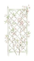 Wooden garden trellis with climbing pink flowering vines and green leaves on white background, isolated design element for landscaping, gardening, and botanical projects.