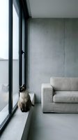 Siamese cat sitting on windowsill in minimalist concrete interior with linen sofa, calm modern living room scene with natural light.