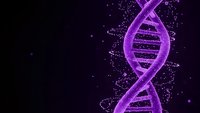 Purple glowing DNA double helix structure with particle effects on dark background for genetic research, biotechnology and medical science concepts.
