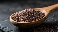 Coriander seeds in wooden spoon on dark slate surface. Aromatic spice ingredient for cooking, seasoning and culinary preparations in kitchen.