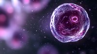 Glowing purple cell structure with illuminated nucleus against dark background, microscopic view showing detailed cellular membrane and organelles in scientific style.