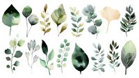 Watercolor botanical elements with green leaves, eucalyptus branches, and delicate foliage on white background for wedding invitations and nature-inspired designs.