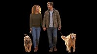 Happy couple walking two golden dogs, holding hands, isolated on transparent background. Ready for pet care, lifestyle, and print on demand designs.