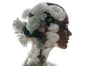 Woman silhouette profile with white roses double exposure artistic composition for wellness beauty and floral design projects on transparent background.