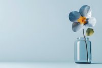 Delicate blue poppy flower in glass vase on clean white surface with soft blue background for minimalist home decor and botanical design projects.