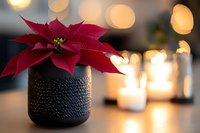 Red poinsettia flower in black textured vase against soft bokeh background with glowing candles creating warm holiday atmosphere.