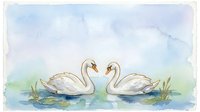 Two white swans facing each other forming a heart shape on calm water with aquatic plants, watercolor style illustration for romantic and nature-themed designs.