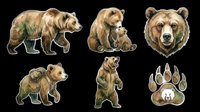 Watercolor brown bear sticker set isolated on transparent background, featuring bear family, cub, paw print, and portrait, ready for t-shirt design, clipart, and print on demand.