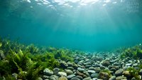 Underwater scene with sunlight filtering through clear turquoise water over rocky riverbed with green aquatic plants creating peaceful natural environment.
