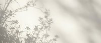 Soft natural plant shadows cast on neutral beige wall surface creating organic botanical silhouettes for minimalist interior design and modern aesthetic backgrounds.