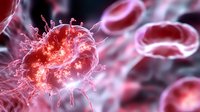 Microscopic view of red virus cell structure with detailed spikes floating among blood cells in dark background, medical science visualization for healthcare concept.