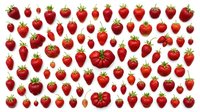 Fresh red strawberries collection isolated on white background. Various sizes and shapes of ripe berries with green leaves for healthy food design.