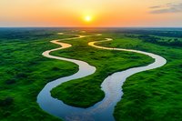 Aerial view of winding river meandering through lush green landscape at golden sunset, showcasing natural curves and vibrant colors for environmental concepts.