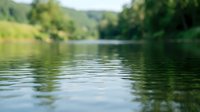 Calm river flowing through lush green forest landscape, peaceful water surface reflecting trees and sky, serene nature scenery for relaxation and outdoor themes.