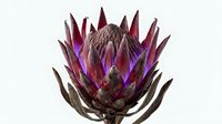 Exotic dark purple artichoke with glowing neon accents isolated on white background, suitable for design projects and botanical illustrations.