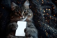 Adorable tabby kitten holding smartphone with blank white screen against sparkling bokeh lights background for technology and pet concepts.