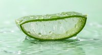Fresh aloe vera leaf slice with water droplets on wet surface for natural skincare and wellness applications.