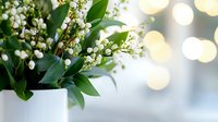 Delicate lily of the valley bouquet in white ceramic vase against soft bokeh background, creating romantic spring atmosphere for wedding or home decor.