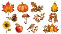 Autumn harvest collection with maple leaf, pumpkin, acorns, pear, pinecone, mushroom, rowan berries, bird, sunflower, apple, and knitted scarf isolated on white background for seasonal design projects.