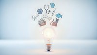 Glowing light bulb with floating veterinary medical icons including stethoscope, paw prints, and fish symbols representing animal healthcare innovation.