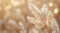 Delicate white pampas grass against soft golden bokeh background creates dreamy atmosphere for wedding decor, home styling, or nature photography.