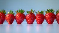 Fresh ripe strawberries arranged in row on blue background with soft reflection. Vibrant red berries with green leaves showing natural organic produce.