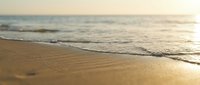 Serene sandy beach shoreline with gentle waves rolling onto golden sand at sunset, perfect for travel and vacation marketing.