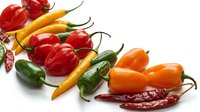 Colorful assortment of fresh and dried hot chili peppers including habanero, jalapeno, and cayenne varieties on white background.