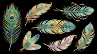 Colorful decorative feathers set with peacock and ornate plumes, isolated on transparent background, ready for stickers, t-shirt design, and print on demand.