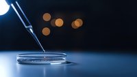 Laboratory pipette dispensing sample into petri dish for scientific research and medical testing with bokeh lights creating professional atmosphere.