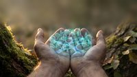 Hands holding glowing blue crystal formation in natural forest setting with magical light effects for spiritual and healing concepts.