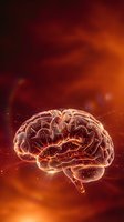 Digital brain with glowing neural pathways on fiery red orange background for artificial intelligence and neuroscience concepts.