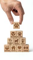 Hand placing wooden block with paw print on pyramid of pet care concept blocks showing veterinary services, nutrition, shelter, love, exercise.