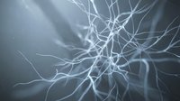 Glowing neuron network with branching dendrites in blue-gray tones, depicting neural connections and brain activity for science and medical concepts.
