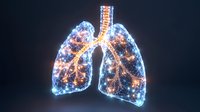 Glowing digital lungs visualization with orange and blue light effects showing detailed bronchial tree structure against dark background for medical and scientific concepts.