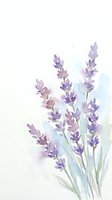 Watercolor lavender flowers in soft purple tones on light background for botanical art, wedding invitations, aromatherapy and spa design projects.