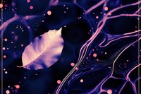 Glowing white feather floating on dark liquid surface with pink and purple swirls, magical bokeh lights creating dreamy atmospheric composition.