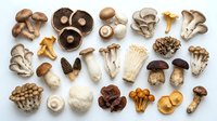 Assorted fresh mushroom varieties including shiitake, oyster, enoki, morel and chanterelle fungi arranged on white background for culinary cooking ingredients.