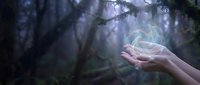 Hands holding glowing magical orb in mystical forest with ethereal light beams creating fantasy atmosphere for spiritual and supernatural concepts.