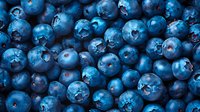 Fresh ripe blueberries background with water drops, macro shot showing natural texture and pattern of organic berries in vibrant blue color.