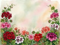 Watercolor floral border with colorful geranium flowers and green leaves on soft pastel background for spring garden design projects.