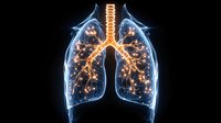 Glowing anatomical visualization of human lungs with bronchial tree illuminated in orange and blue against black background, medical science concept for respiratory system.