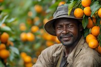 African American farmer smiling while harvesting fresh oranges in citrus orchard, wearing casual work clothes and hat, surrounded by ripe fruit and green leaves.