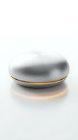 Sleek metallic oval pod with brushed silver finish and gold accent band, isolated on white background for product design and packaging mockups.