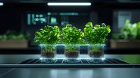 Fresh microgreens growing in transparent containers under LED grow lights in modern hydroponic farm setting, showing roots and soil medium.