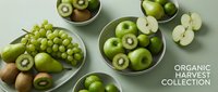 Organic harvest collection of fresh green fruits including apples, kiwi, grapes, pears, and limes arranged in bowls on a green surface.