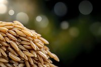 Golden rice grains in macro view against dark blurred bokeh background, showcasing agricultural harvest and natural food production details.