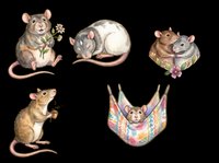 Cute mice and rats collection isolated on transparent background, ready for t-shirt designs, stickers, clipart, print-on-demand products and sublimation projects.