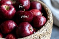 Fresh red apples in wicker basket on rustic wooden table. Autumn harvest concept for healthy eating, organic farming and seasonal produce marketing.