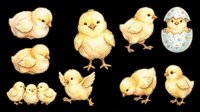 Cute yellow baby chicks in various poses isolated on transparent background. Perfect for t-shirt designs, clipart, stickers, print-on-demand products, and sublimation projects.